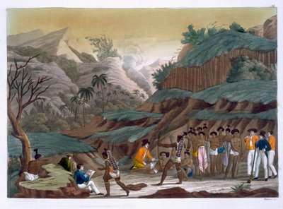 Primer encuentro de exploradores franceses con los pueblos indígenas, Isla de Ombay, lámina 14 de 